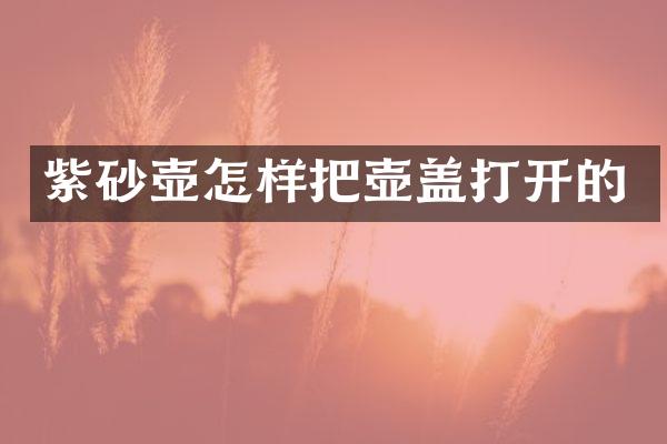 紫砂壶怎样把壶盖打开的