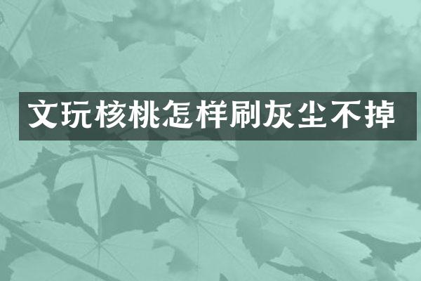 文玩核桃怎样刷灰尘不掉