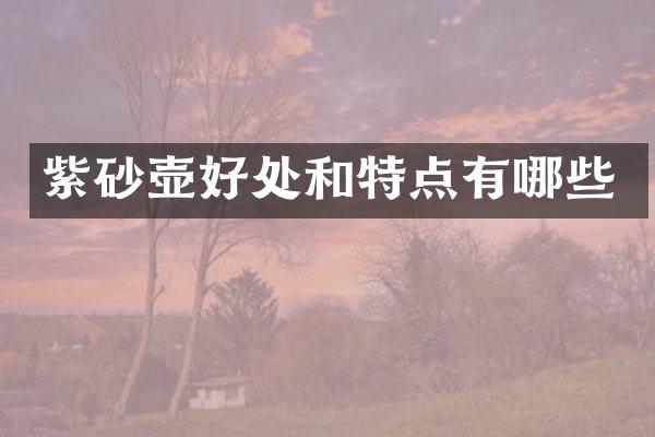 紫砂壶好处和特点有哪些