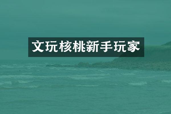 文玩核桃新手玩家