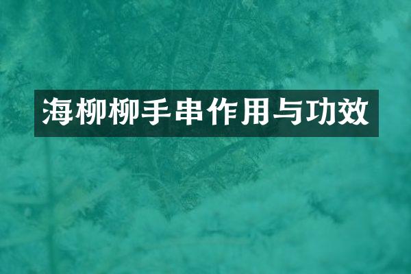 海柳柳手串作用与功效