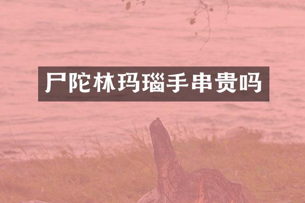 尸陀林玛瑙手串贵吗