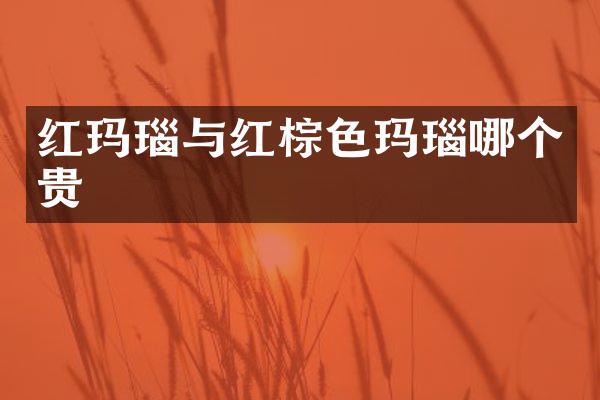 红玛瑙与红棕色玛瑙哪个贵