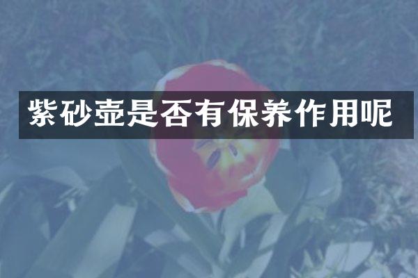 紫砂壶是否有保养作用呢