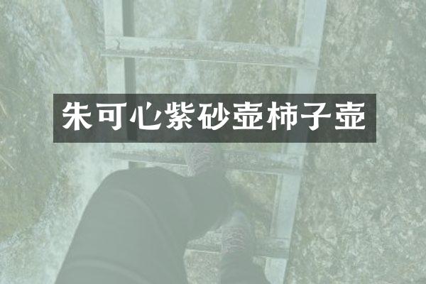 朱可心紫砂壶柿子壶