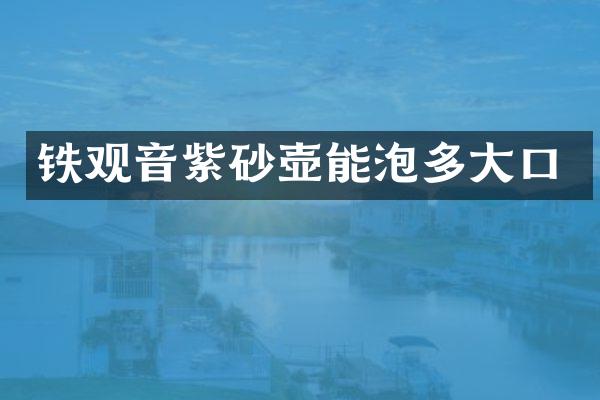 铁观音紫砂壶能泡多大口