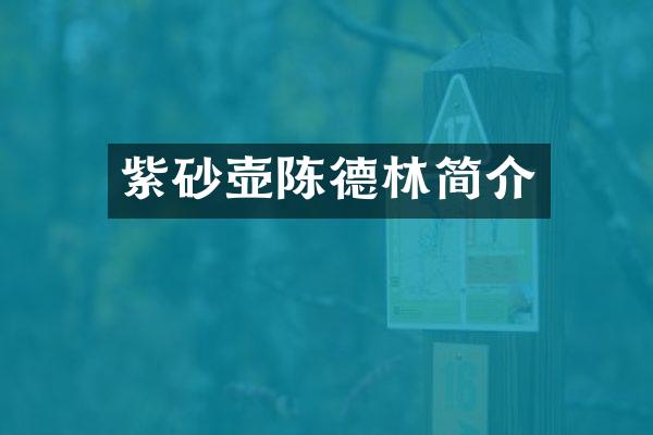 紫砂壶陈德林简介