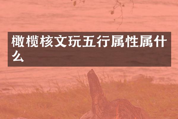 橄榄核文玩五行属性