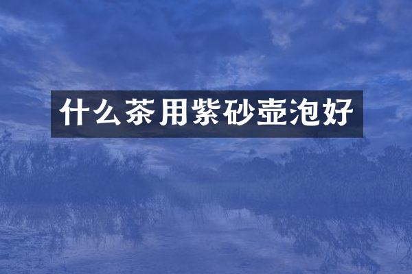 什么茶用紫砂壶泡好