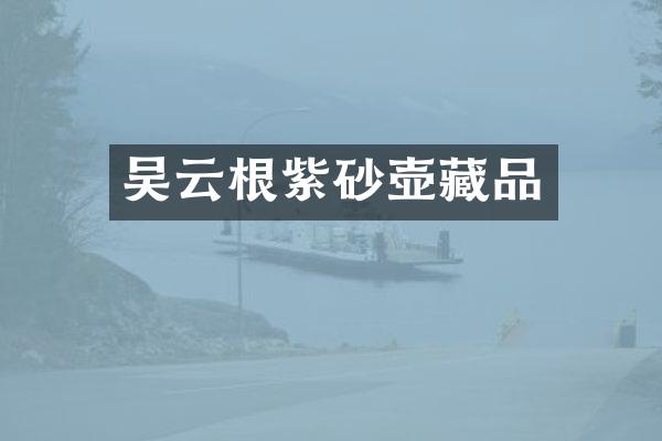 吴云根紫砂壶藏品