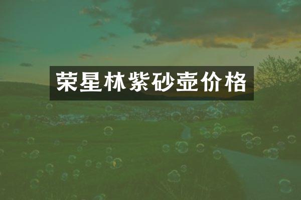 荣星林紫砂壶价格
