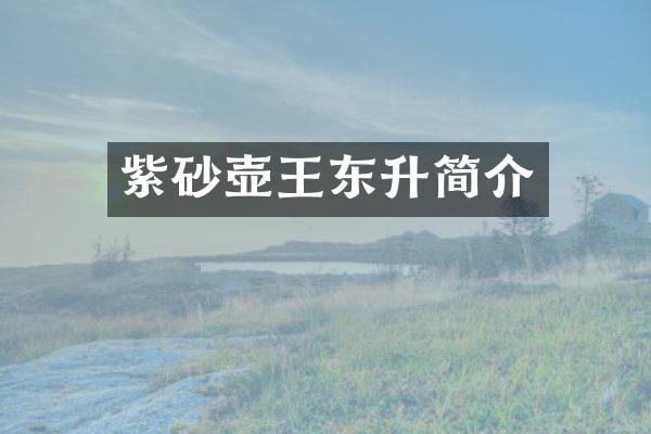 紫砂壶王东升简介