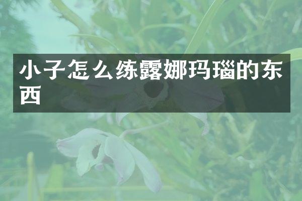 小子怎么练露娜玛瑙的东西
