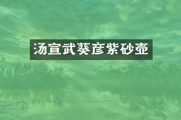 汤宣武葵彦紫砂壶