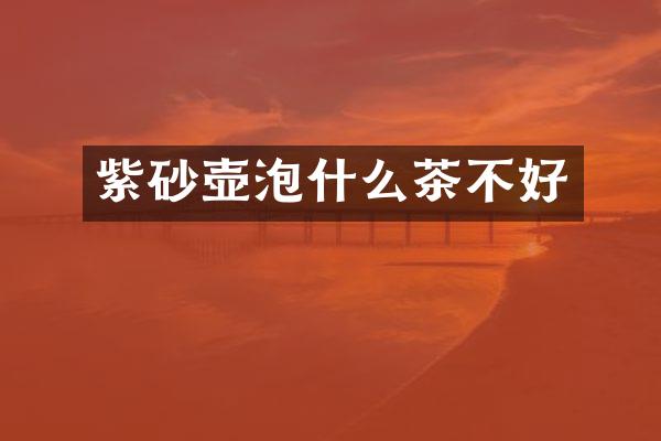 紫砂壶泡什么茶不好