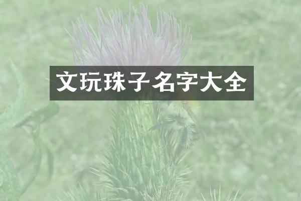 文玩珠子名字大全
