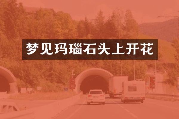 梦见玛瑙石头上开花