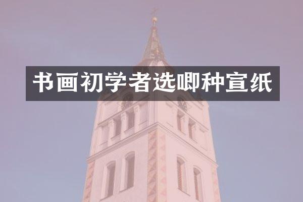 书画初学者选唧种宣纸