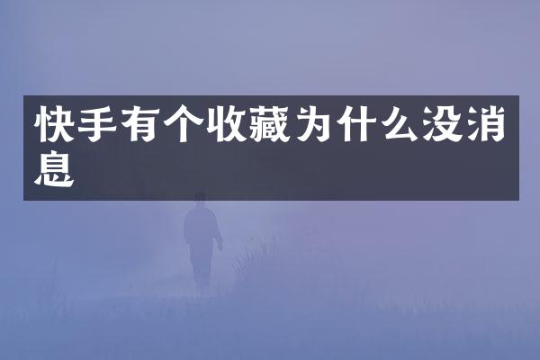 快手有个收藏为什么没消息