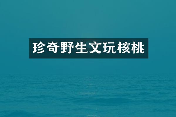 珍奇野生文玩核桃