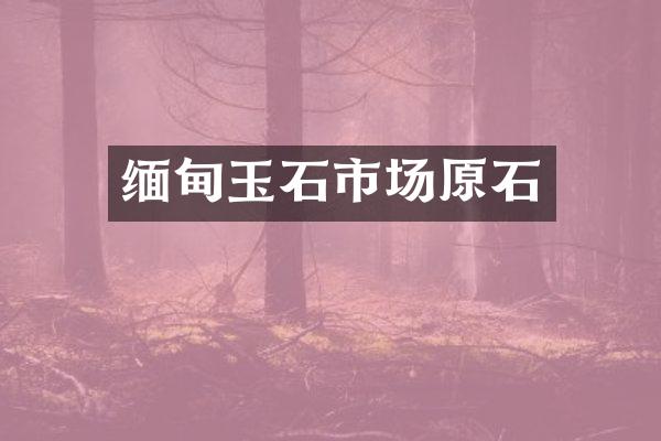 缅甸玉石市场原石