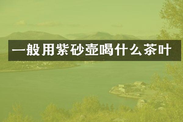 一般用紫砂壶喝什么茶叶