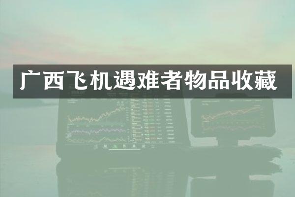 广西飞机遇难者物品收藏