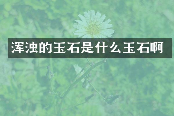 浑浊的玉石是什么玉石啊