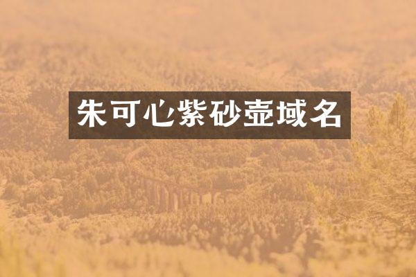 朱可心紫砂壶域名