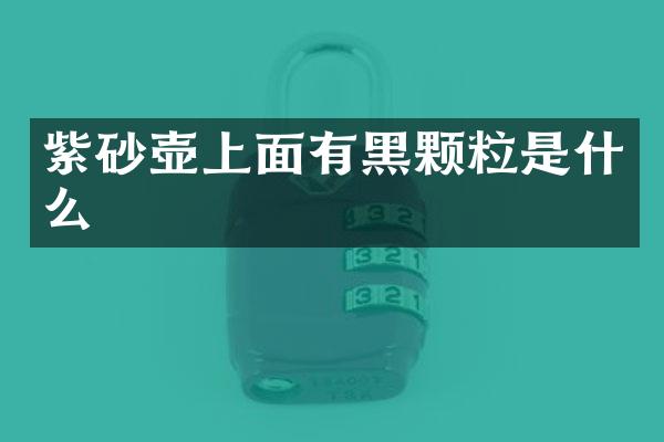 紫砂壶上面有黑颗粒是什么