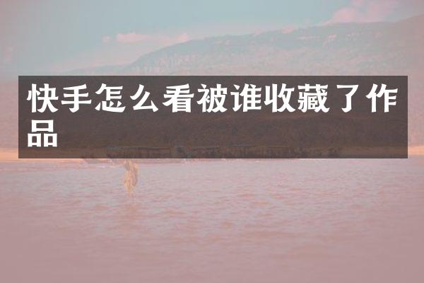 快手怎么看被谁收藏了作品