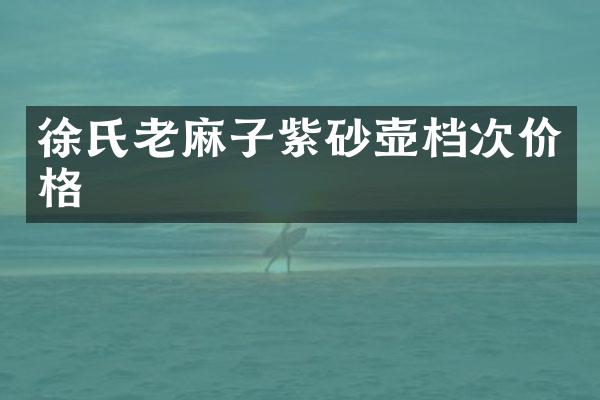 徐氏老麻子紫砂壶档次价格