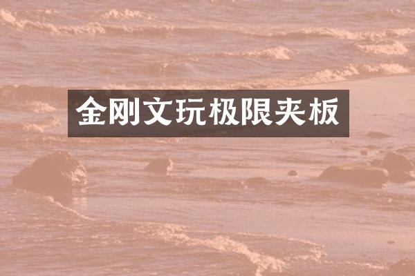 金刚文玩极限夹板