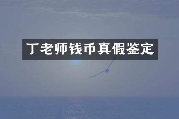 丁老师钱币真假鉴定