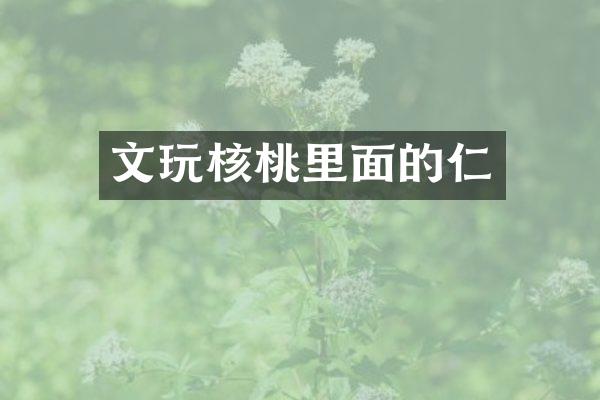 文玩核桃里面的仁