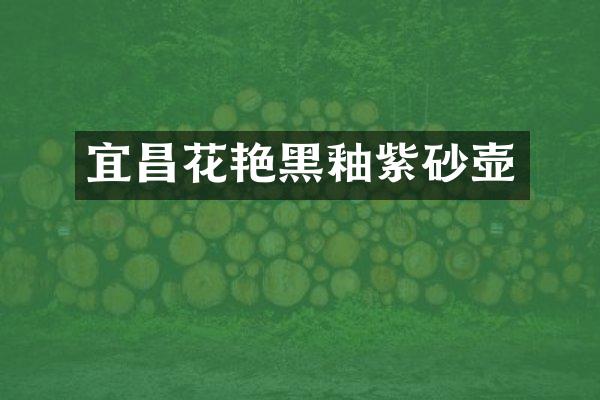 宜昌花艳黑釉紫砂壶