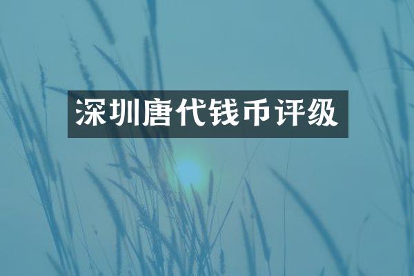 深圳唐代钱币评级