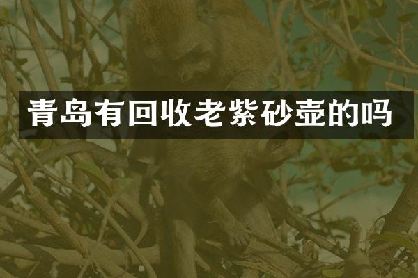 青岛有回收老紫砂壶的吗