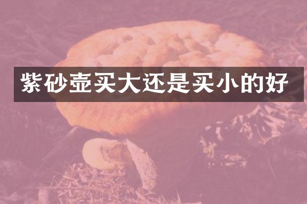 紫砂壶买大还是买小的好