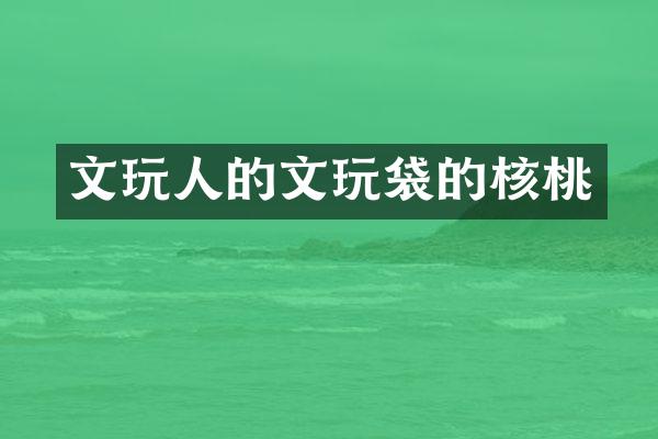 文玩人的文玩袋的核桃