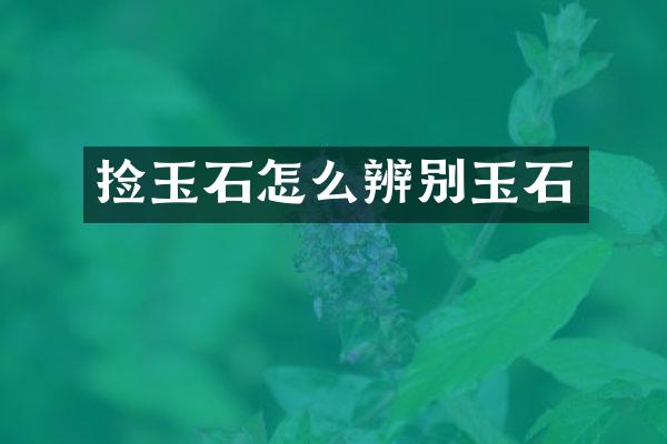 捡玉石怎么辨别玉石