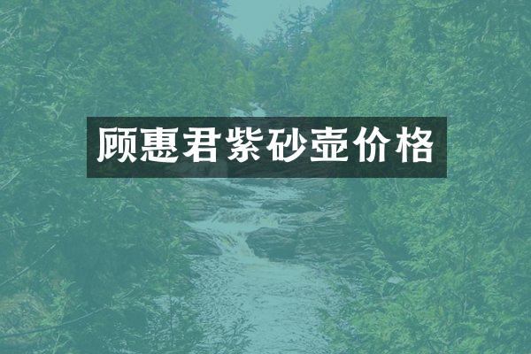 顾惠君紫砂壶价格