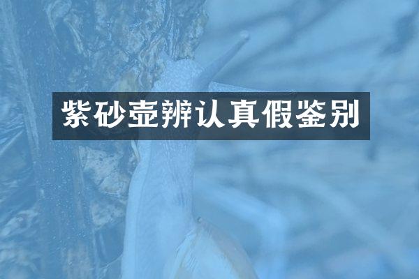 紫砂壶辨认真假鉴别