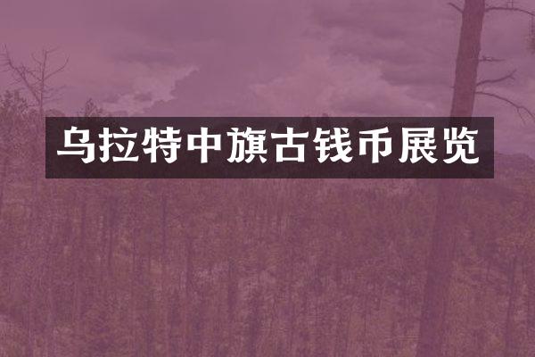 乌拉特中旗古钱币展览
