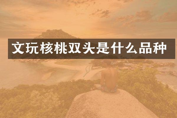 文玩核桃双头是什么品种