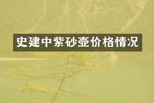 史建中紫砂壶价格情况