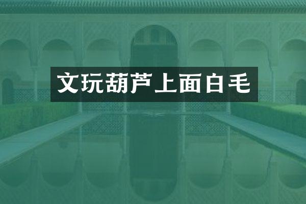 文玩葫芦上面白毛