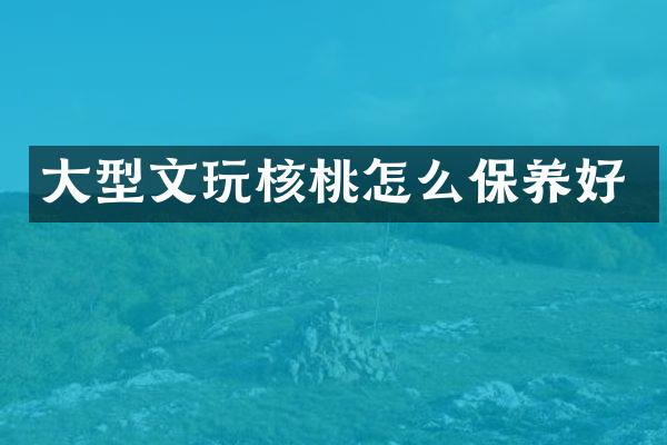 大型文玩核桃怎么保养好