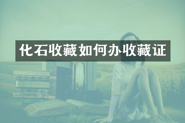 化石收藏如何办收藏证