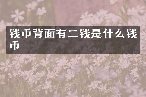 钱币背面有二钱是什么钱币